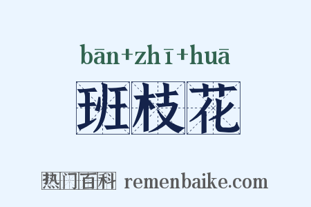 班枝花是什么意思的图片